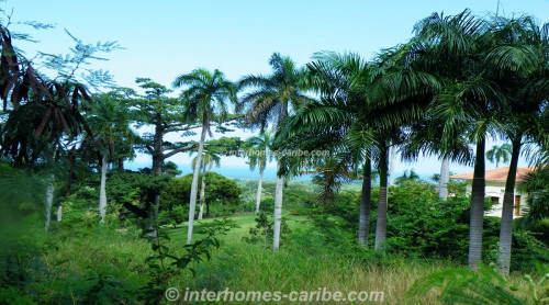 photos for SOSUA: LOT PALM GARDEN 1 590 M2